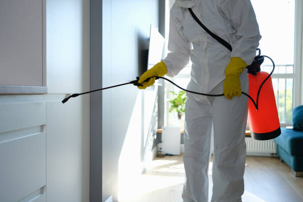 Best Mold Removal Near Me  in Luray, VA