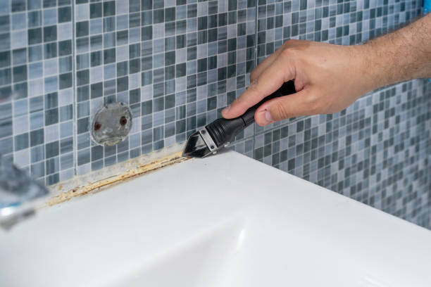 Best Mold Removal Company Near Me  in Luray, VA